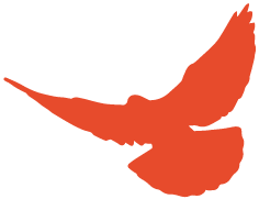 undefined 640 (5).png